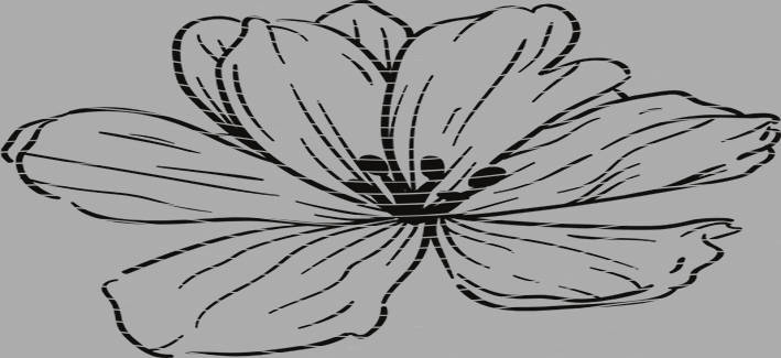 16oz Element-EN-1206